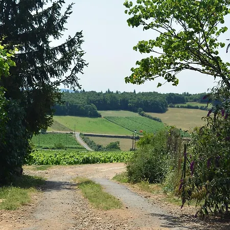 Domaine Des Aloets Moire